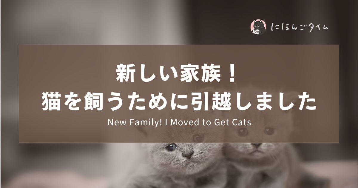 新しい家族！猫を飼うために引越しました🐈  ｜ New Family! I Moved to Get Cats ｜  新家人！我為了養貓搬家了🐈