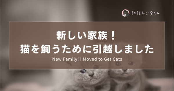 新しい家族！猫を飼うために引越しました🐈  ｜ New Family! I Moved to Get Cats ｜  新家人！我為了養貓搬家了🐈
